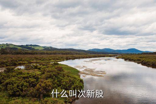 什么叫次新股