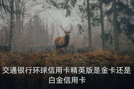 交通銀行環(huán)球信用卡精英版是金卡還是白金信用卡