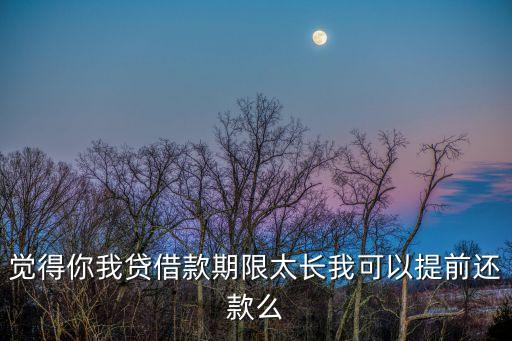 覺得你我貸借款期限太長我可以提前還款么