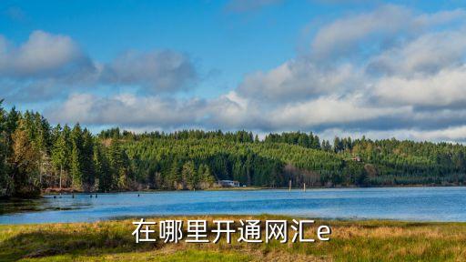 匯元通怎么注冊，這個怎么注冊