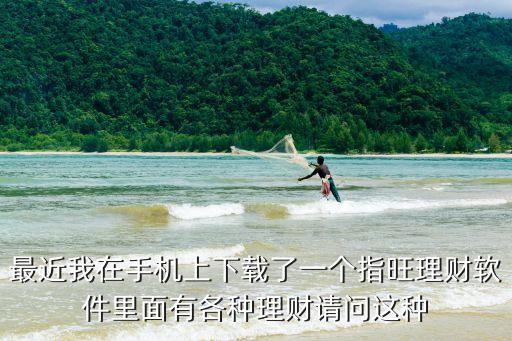 指旺怎么有兩個(gè)版本，為什么有2個(gè)版本