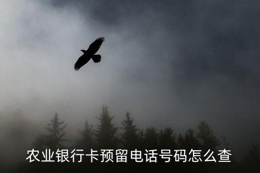 怎么查詢農(nóng)行預(yù)留電話，農(nóng)業(yè)銀行卡預(yù)留電話號碼怎么查
