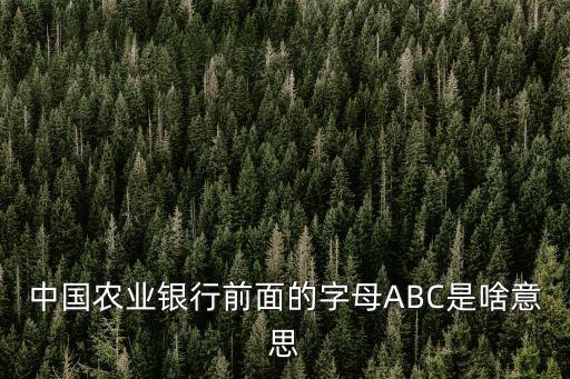 中國(guó)農(nóng)業(yè)銀行abc怎么用，農(nóng)行卡的金順ABC怎么用剛辦的 不知道怎樣使用麻煩有知道的
