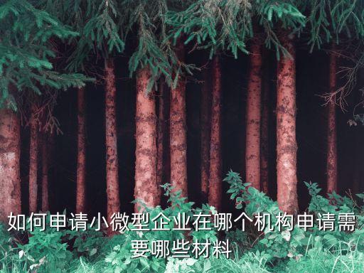 怎么注冊(cè)小微企業(yè)，怎樣申請(qǐng)小型微利企業(yè)