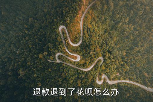退款退到花唄里面怎么辦，淘寶退款到花唄怎么辦