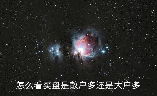 怎么看買盤是散戶多還是大戶多
