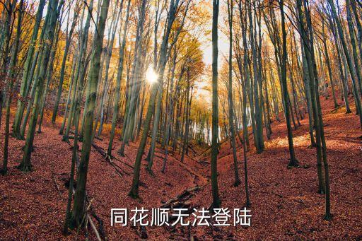 同花順無法登陸