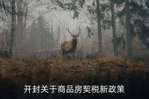 開封關(guān)于商品房契稅新政策
