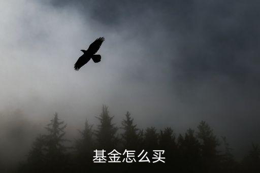 基金 怎么買，請問基金怎么買