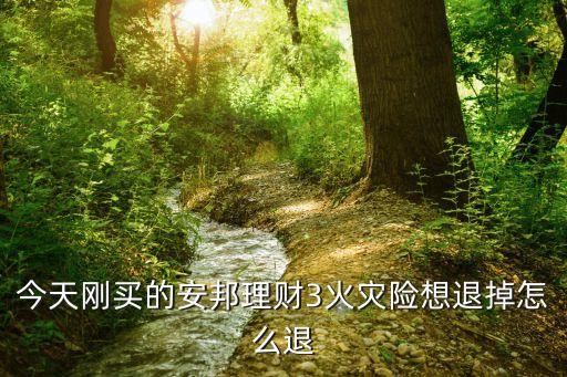 安邦財(cái)險(xiǎn)3號(hào)怎么退保，今天剛買(mǎi)的安邦理財(cái)3火災(zāi)險(xiǎn)想退掉怎么退