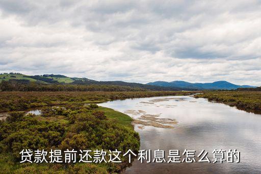 貸款提前還款這個(gè)利息是怎么算的