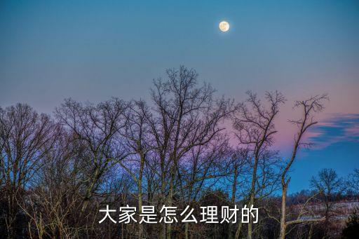 大家都怎么理財?shù)?，大家是怎么理財?shù)?/></a></span><span id=