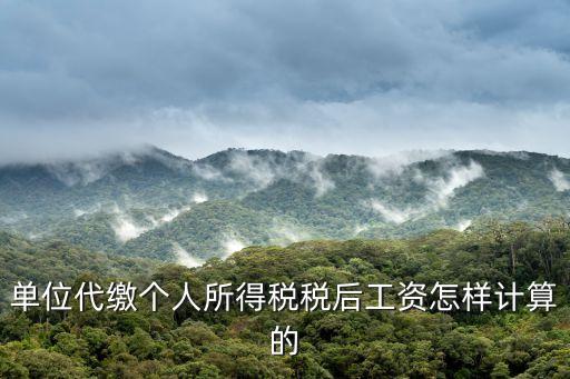 單位代繳個(gè)人所得稅稅后工資怎樣計(jì)算的