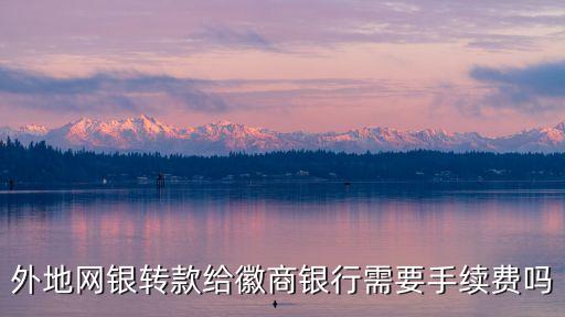 外地網(wǎng)銀轉(zhuǎn)款給徽商銀行需要手續(xù)費(fèi)嗎