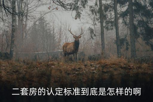 怎么樣算是二套房，怎樣算第二套房