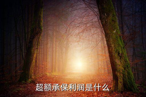 超額承保利潤是什么