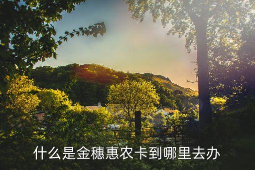 惠農(nóng)卡怎么辦，什么是金穗惠農(nóng)卡到哪里去辦