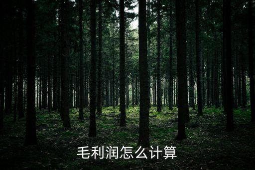 毛利潤怎么計算