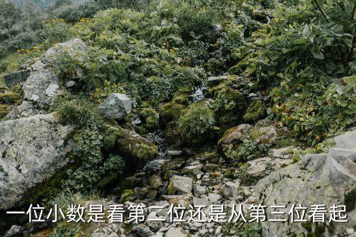一位小數(shù)是看第二位還是從第三位看起