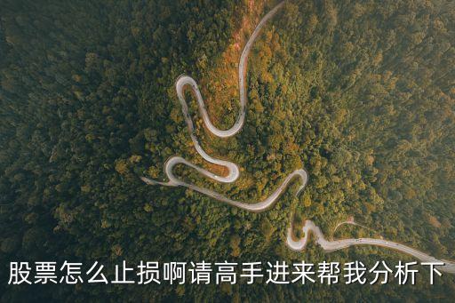 股票止損是怎么操作，股票怎么止損啊請(qǐng)高手進(jìn)來(lái)幫我分析下