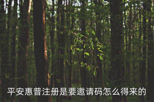 平安普惠邀請(qǐng)碼怎么弄，平安惠普注冊(cè)是要邀請(qǐng)碼怎么得來(lái)的