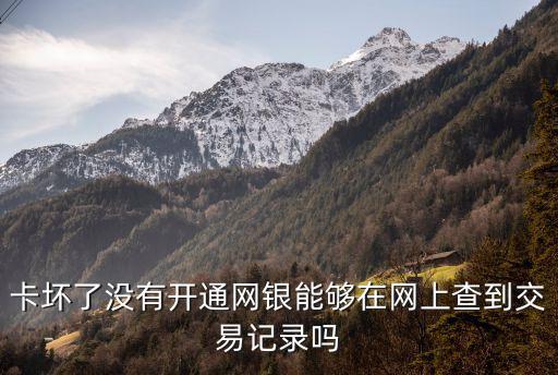 卡壞了沒有開通網(wǎng)銀能夠在網(wǎng)上查到交易記錄嗎