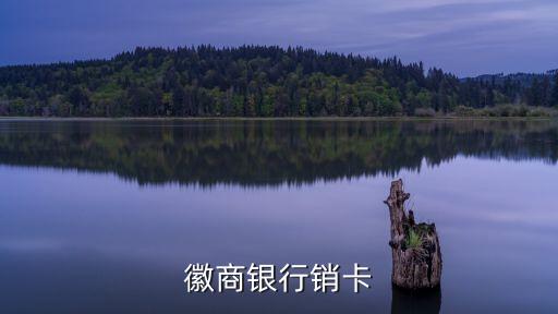 徽商儲(chǔ)蓄卡怎么注銷，安徽徽商銀行卡怎樣注銷