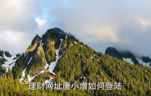 唐小僧理財(cái)官網(wǎng)怎么加微信，怎樣加理財(cái)進(jìn)行時(shí)微信
