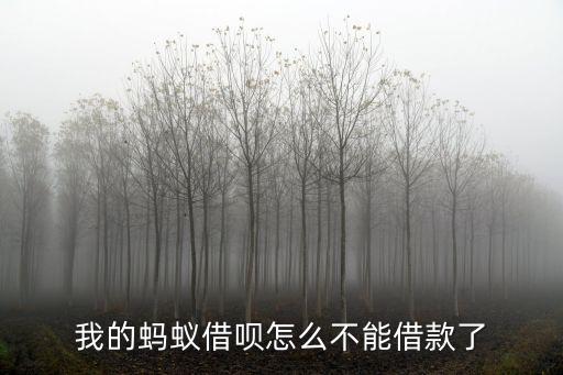 螞蟻借唄怎么不給借了，以前借唄可以借錢為什么突然不能借了