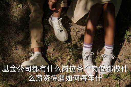 基金公司都有什么崗位各個(gè)崗位都做什么薪資待遇如何每年什