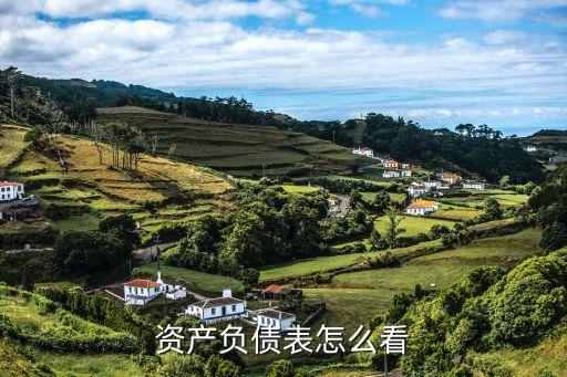 資產(chǎn)負(fù)債表 怎么查，資產(chǎn)負(fù)債表 怎么看