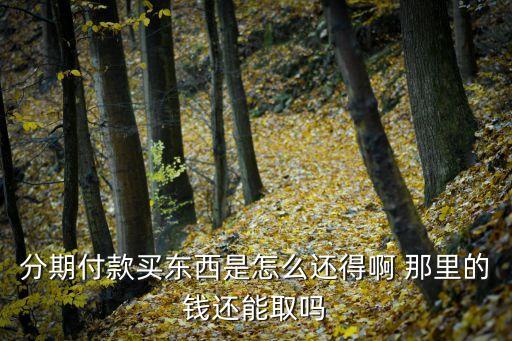分期付款買東西是怎么還得啊 那里的錢還能取嗎
