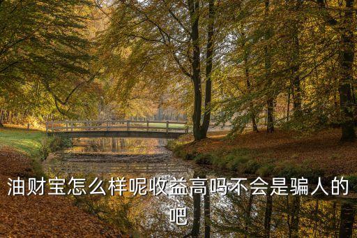 油財(cái)寶理財(cái)怎么樣，最近聽(tīng)朋友說(shuō)這一款理財(cái)產(chǎn)品不錯(cuò)大家覺(jué)得怎么樣給點(diǎn)意見(jiàn) 關(guān)注