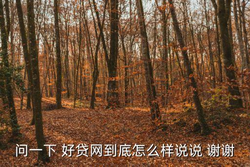 很好貸貸款公司怎么樣，問一下 好貸網(wǎng)到底怎么樣說說 謝謝
