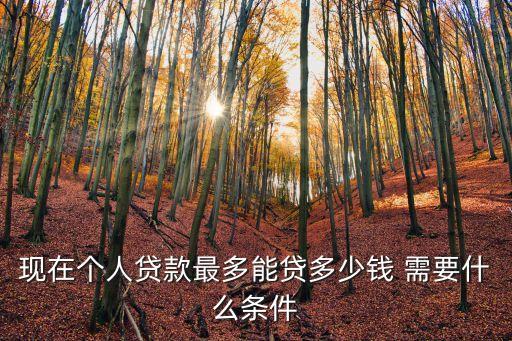 現(xiàn)在借貸怎么貸款多少，現(xiàn)在小額貸款可以貸多少