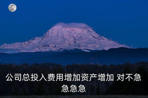 公司總投入費(fèi)用增加資產(chǎn)增加 對(duì)不急急急急