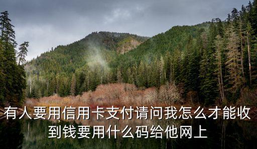 有人要用信用卡支付請(qǐng)問(wèn)我怎么才能收到錢要用什么碼給他網(wǎng)上