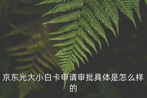 京東光大小白卡申請審批具體是怎么樣的