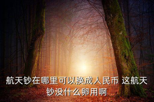 航天鈔在哪里可以換成人民幣 這航天鈔沒什么卵用啊