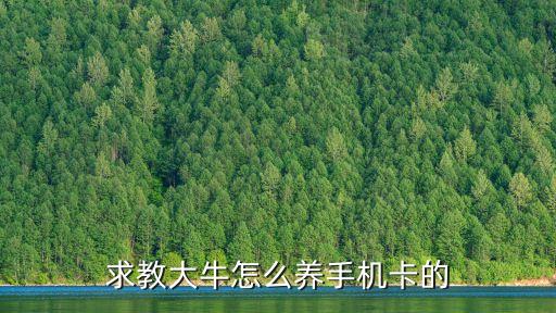 求教大牛怎么養(yǎng)手機(jī)卡的