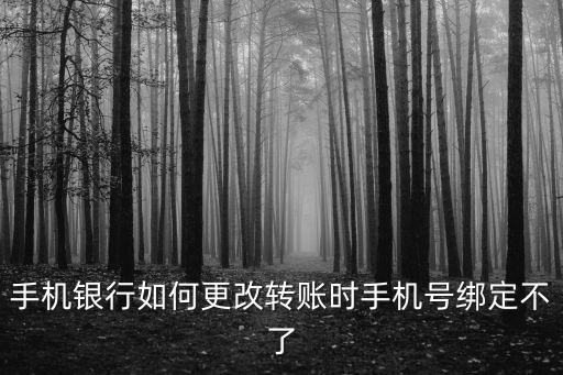 手機銀行如何更改轉(zhuǎn)賬時手機號綁定不了