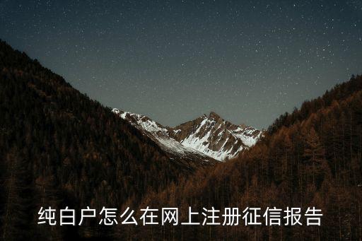 純白戶(hù)怎么在網(wǎng)上注冊(cè)征信報(bào)告