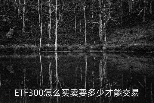 ETF300怎么買賣要多少才能交易