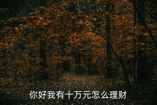 金米袋怎么理財，米袋理財有哪些產(chǎn)品呢請告知詳細