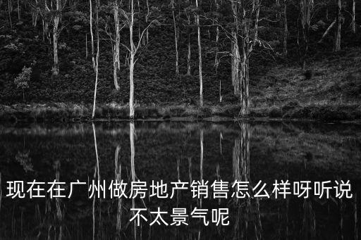 現(xiàn)在在廣州做房地產(chǎn)銷售怎么樣呀聽(tīng)說(shuō)不太景氣呢