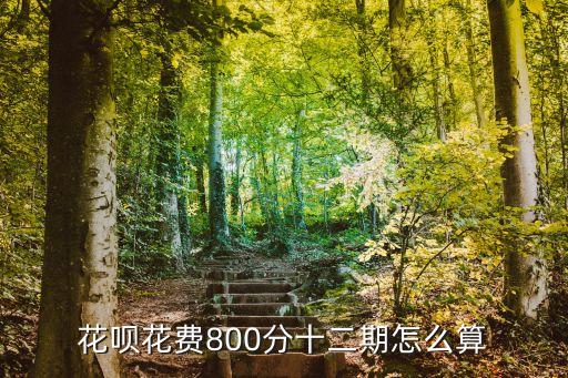 花唄花費(fèi)800分十二期怎么算