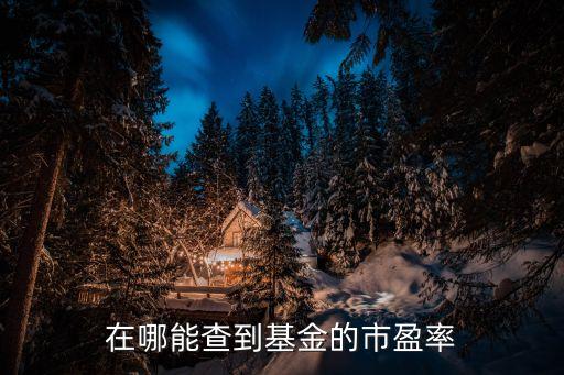 在哪能查到基金的市盈率