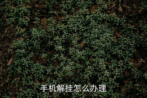 電話號(hào)碼掛失怎么解除，聯(lián)通號(hào)碼掛失怎么解掛