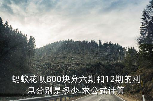 螞蟻花唄800塊分六期和12期的利息分別是多少 求公式計算