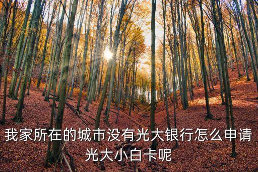 我家所在的城市沒有光大銀行怎么申請光大小白卡呢